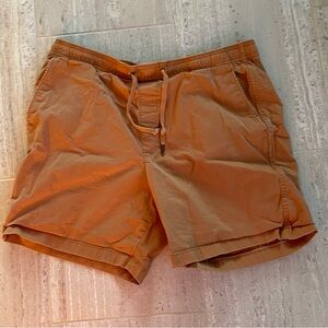 GAP Men's Brown Flat Front Shorts